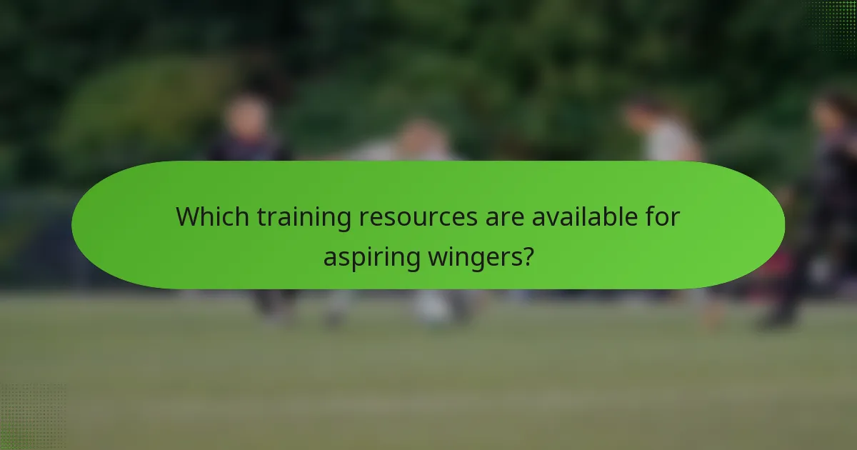 Which training resources are available for aspiring wingers?